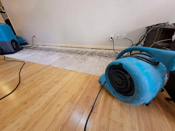 Professional Basement Flood Cleanup technician working in Groesbeck, TX
